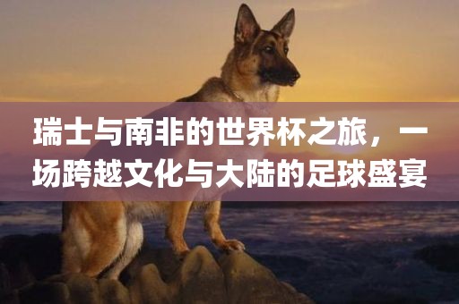 瑞士与南非的世界杯之旅，一场跨越文化与大陆的足球盛宴金炬实业股份有限公司