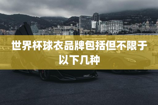 世界杯球衣品牌包括但不限于以下几种金炬实业股份有限公司